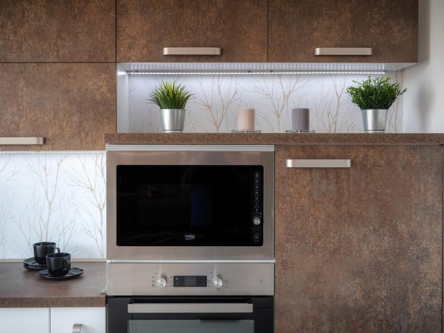 Avis et conseils d&rsquo;utilisation Anova Precision Oven 2.0