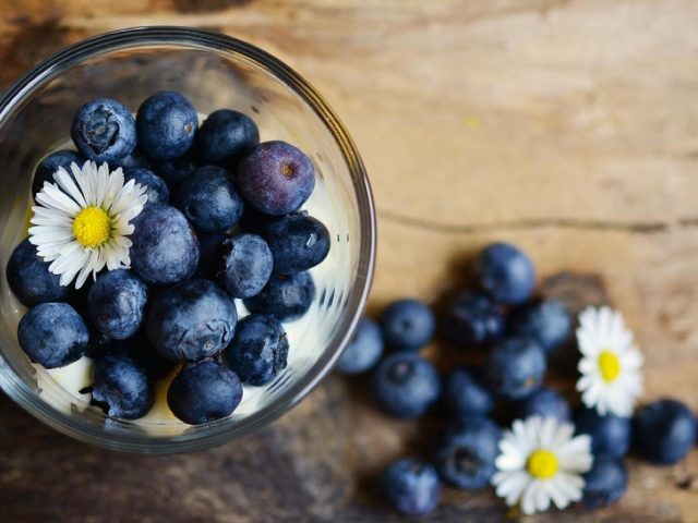 NutriBullet ou Vitamix : quel blender pour smoothies ?