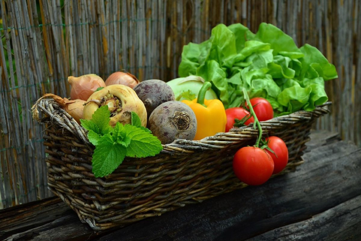 Cuisson vapeur parfaite : conserver nutriments et saveurs