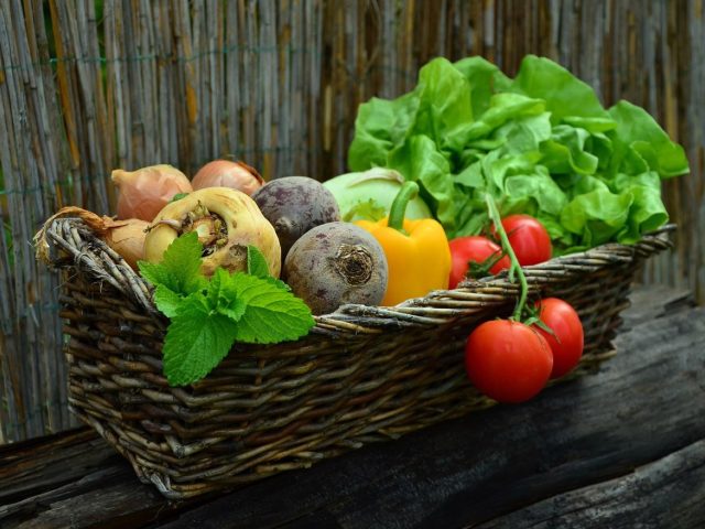 Cuisson vapeur parfaite : conserver nutriments et saveurs
