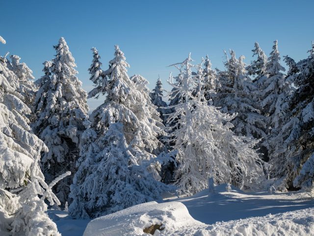 Stratégies pour éviter les allergies pendant l&rsquo;hiver