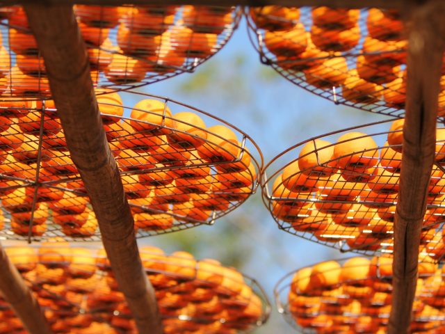 L&rsquo;importance d&rsquo;adapter son alimentation aux saisons