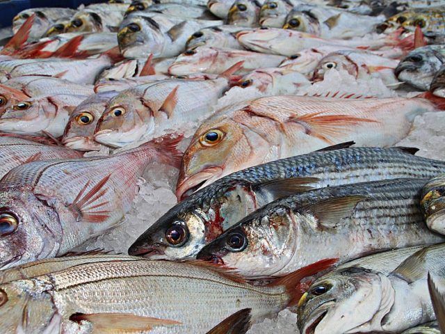 Cuire le poisson moelleux sans le surcuire : méthodes et repères