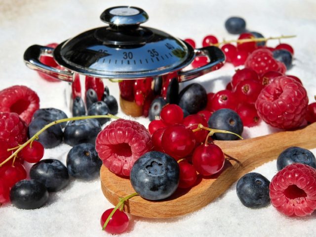 Thermomix ou Kenwood pour purées et sauces : comparatif pratique